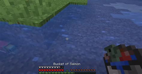 Minecraft How To Get Every Bucket Of Fish Comprehensive Guide Gamesual