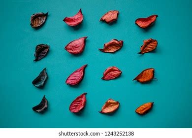 Potpourri Background Blue Stock Photo Shutterstock