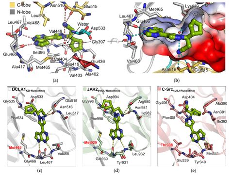 The Binding Mode Of Ruxolitinib In The Structures Of DCLK1 JAK2 And