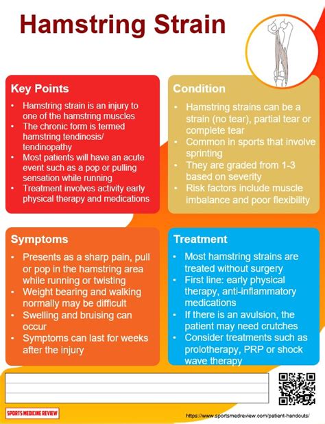 Hamstring Strain - Sports Medicine Review