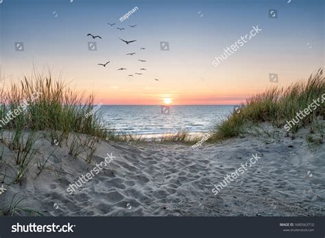 Sand Dunes On Beach Sunset Stock Photo 1680563710 | Shutterstock