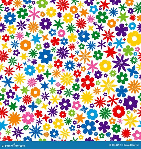 colorful elder flower 2