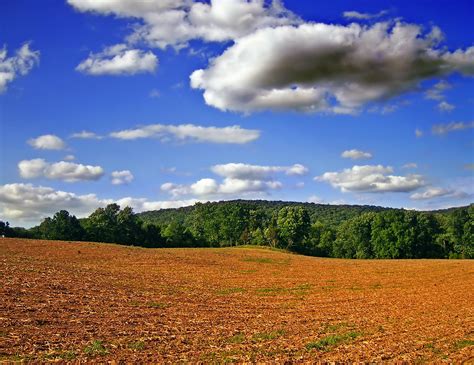 Imagen Gratis Paisaje Naturaleza Cielo Campo Hierba Prado Rural