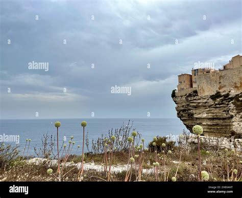 Old Town Of Bonifacio Built On Cliff Rocks Corsica France Stock