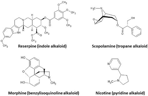 Examples Of Relevant Alkaloids In Medicine And Their Structures