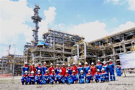 Kepmen Esdm Nomor Tahun Tentang Pengguna Gas Bumi Tertentu Dan