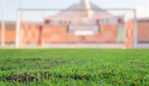 Premium Photo | Green grass in soccer stadium