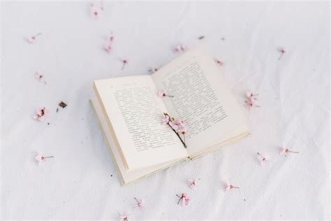 High Angle Shot of an Open Book · Free Stock Photo