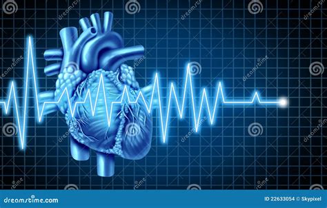 Corazón Y Gráfico De Ekg Ecg Imagenes De Archivo Imagen 22633054