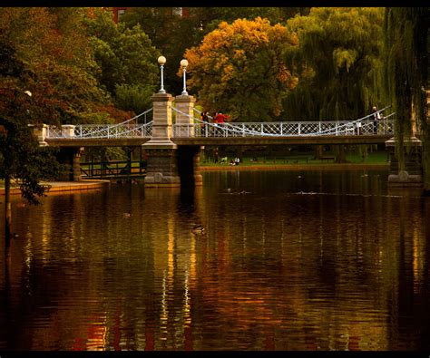 REVIEW | Canon 24-105mm F4 L IS