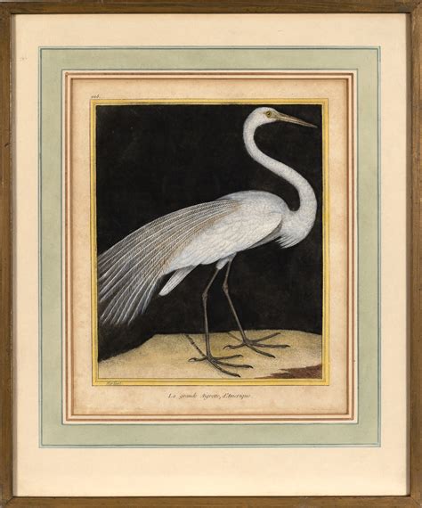 Françoise Nicolas Martinet BIRD STUDIES MutualArt