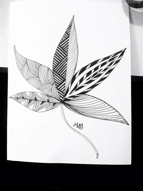 Buckeye Leaf Drawing