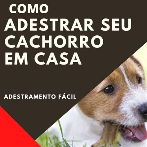 COMO ADESTRAR SEU CACHORRO EM CASA