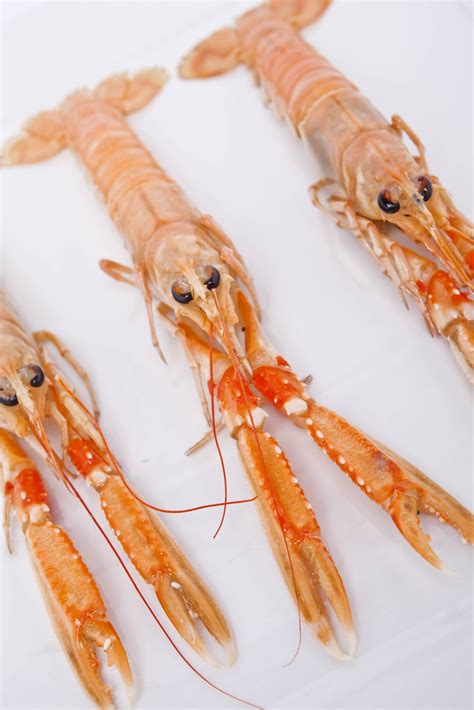 Frozen Raw Langoustine Msc Freshpack