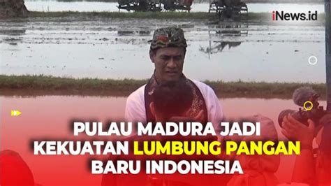 Mentan Ungkap Pulau Madura Bisa Jadi Kekuatan Lumbung Pangan Baru Indonesia