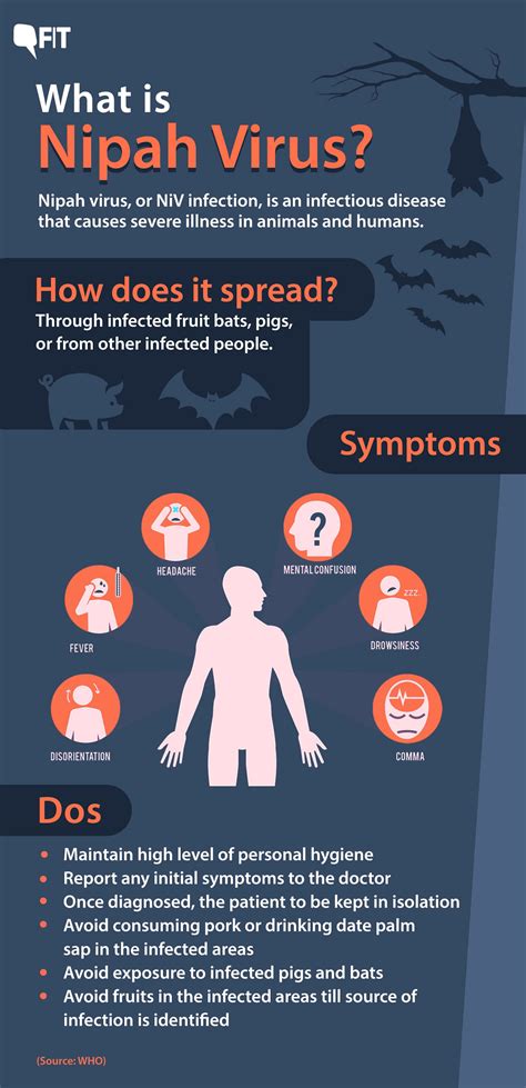 Explained: What is Nipah Virus, Behind the Death of a 12-year-old in Kerala