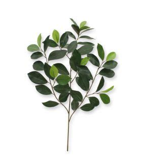 Ficus Exotica Plante Artificielle Deluxe 180 Cm Vert