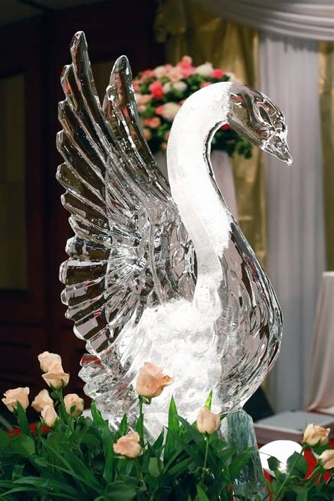 Swan ice sculpture stock photo. Image of piece, swan - 25262888