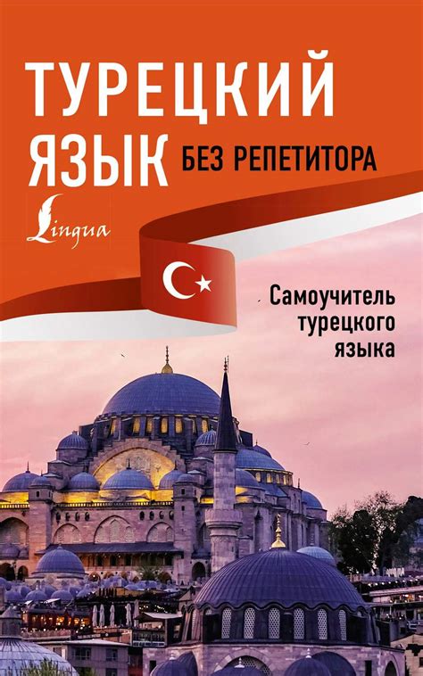 Книга Турецкий язык без репетитора. Самоучитель турецкого языка скачать ...
