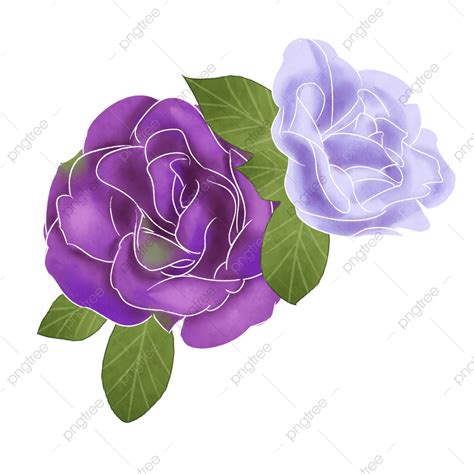 Rosas Dibujadas A Mano En Dibujos Animados Png Dibujos Animados Porn