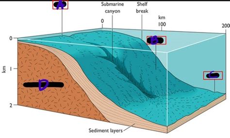 Oceanography Final Exam Flashcards Quizlet