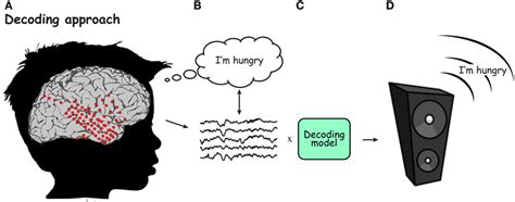 Understanding And Decoding Thoughts In The Human Brain · Frontiers For