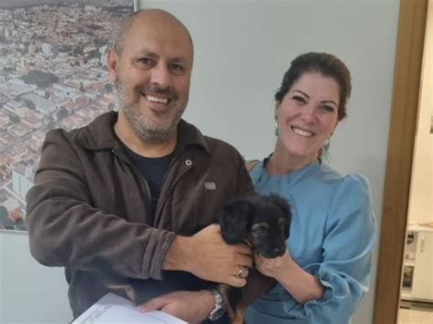 Projeto De Lei Selo Empresa Amiga Dos Animais Aprovada Em