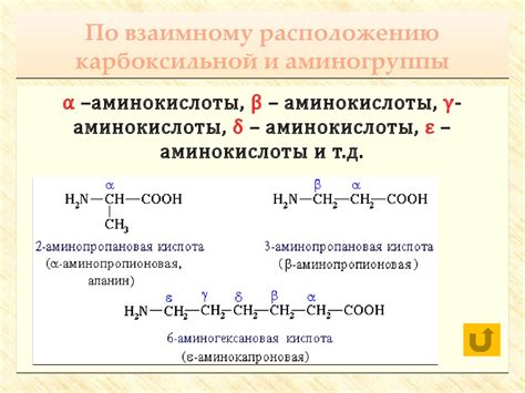 Состав, строение и свойства аминокислот - online presentation