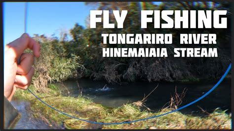 WINTER FLY FISHING TAUPO RIVERS HINEMAIAIA And TONGARIRO YouTube