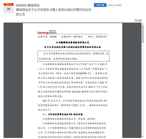 深夜爆雷，超31万股民无眠！1600亿“锂王”被罚没442万元，董事长也被罚60万元，啥情况？赣锋锂业江特电机公司