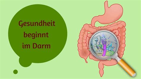 Darmgesundheit Und Effektive Mikroorganismen