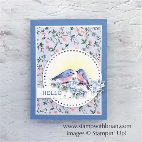 Hello Flight And Airy Designer Series Paper In 2024 Stamping Up Cards Hello Cards Stampin Up