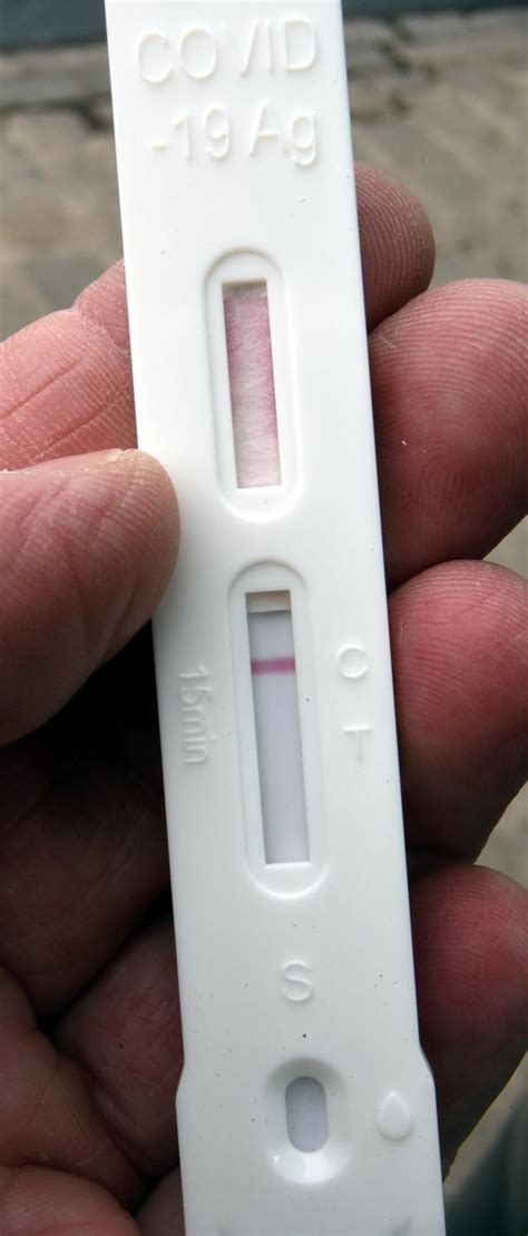 So Funktioniert Der Corona Selbsttest