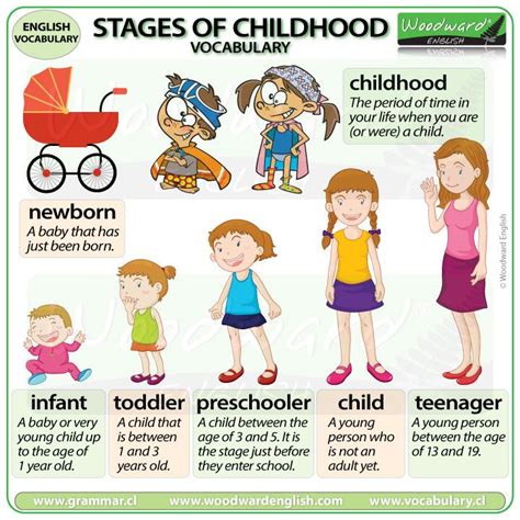 Stages of Childhood – English Vocabulary | Woodward English | English ...