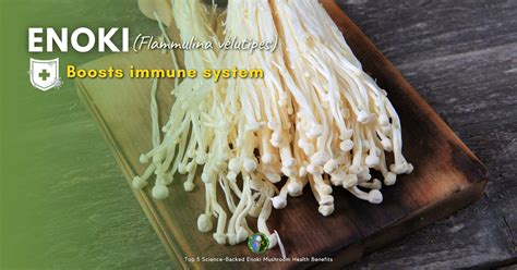 enoki mushroom benefits nutrition facts