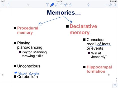 OT 231 Memory Flashcards Quizlet