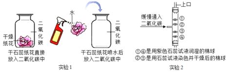 题目 实验是进行科学探究的重要方式某同学设计如图所示实验探究二氧化碳的有关性质请填空1实验1采用了科学探究中的控制变量法该实验