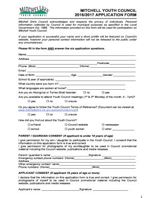 Fillable Online Mitchell Youth Council Application Form