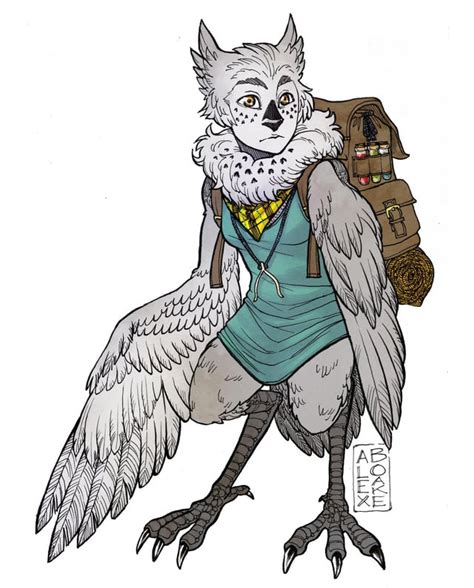 Owl Harpy Adventurer : characterdrawing