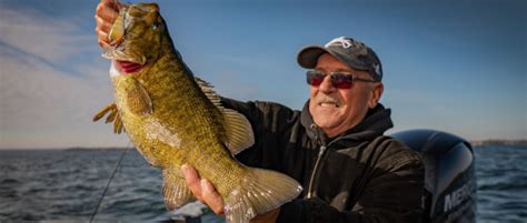 Lipless Crankbaits Year Round Tips To Catch Bigger Bass Bass Lipless