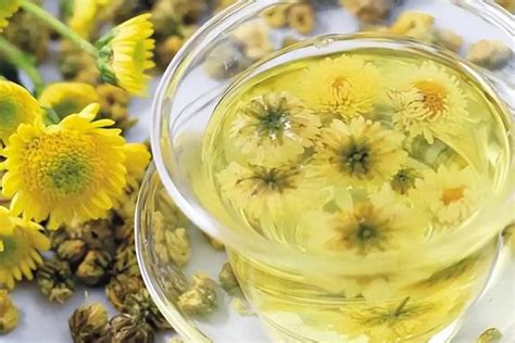 Brewing Chrysanthemum Tea: Your Guide to Health and Flavor - FlowersLib