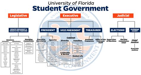 Three Branches Of Government Flow Chart