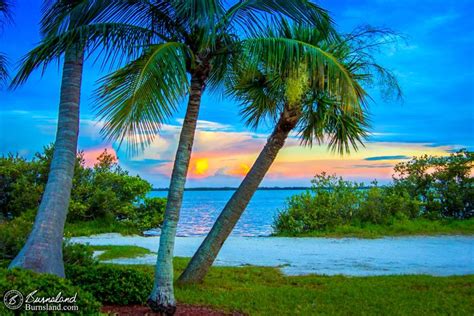 Sunset at Cocoa Beach - Burnsland | Cocoa beach florida, Cocoa beach, Florida photography