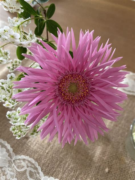 Den Tisch Mit Erdbeeren Dekorieren Und Eine Diy Idee Mit Tetra Pak