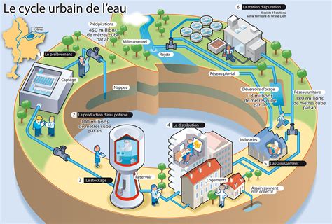 Le Cycle Urbain De L Eau Eau Du Grand Lyon