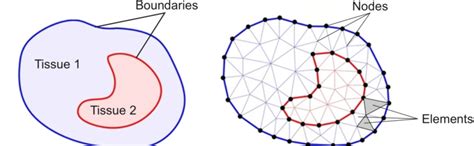 Schematic Representation Of A Finite Element Method Fem Model