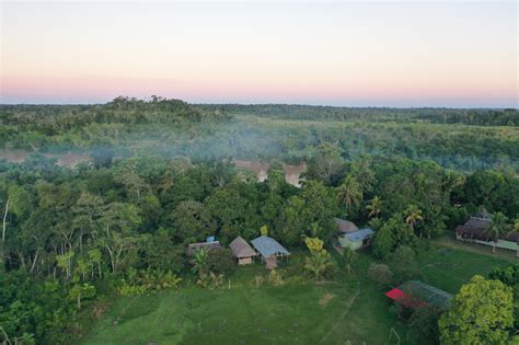 Amazon: how to save a forest - CESVI Fondazione - ETS