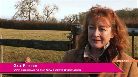 Should We Charge Visitors Entering The New Forest Charlotte Albutt