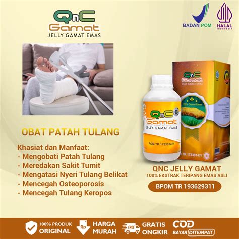 Jual Qnc Jelly Gamat Ektrak Teripang Emas Obat Patah Tulang Sakit