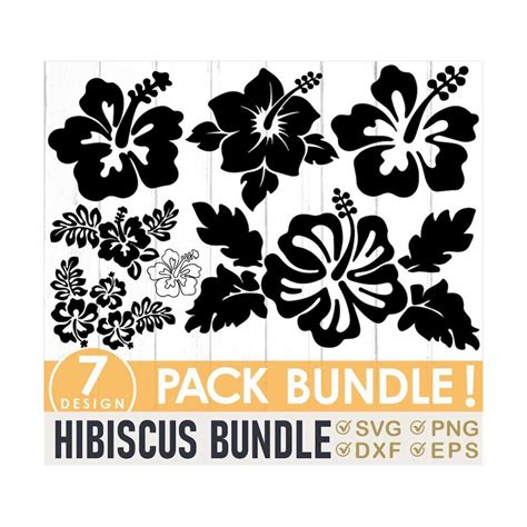 7 Hibiscus Svg Bundle Hawaii Flower Flower Svg Floral Svg Inspire